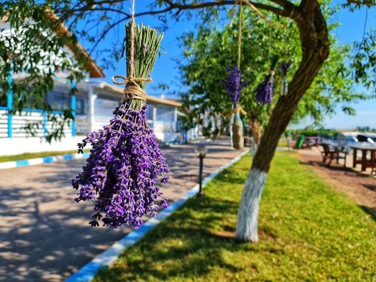 Casa Pescarilor Hotel Lunca  ภายนอก รูปภาพ